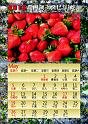 2013calendar-a4portrait1_out-5