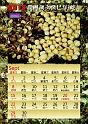 2013calendar-a4portrait1_out-9