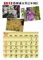 2013calendar-a4portrait2_out-11