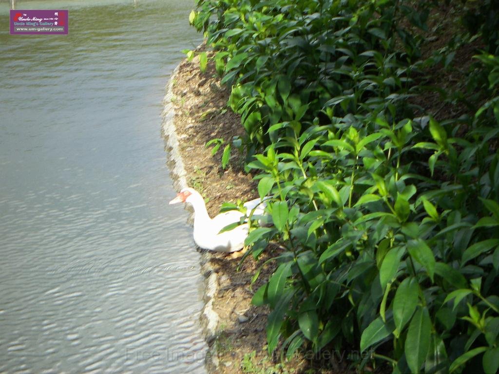 PICT1128.JPG