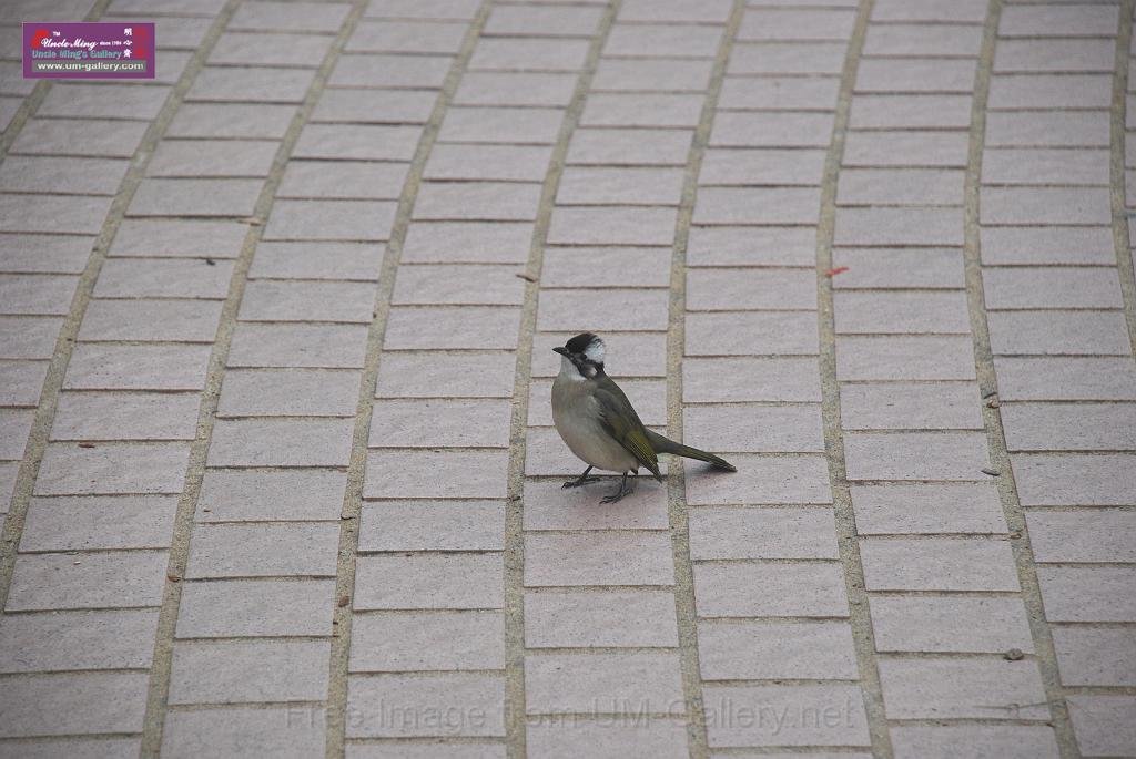 DSC_0504.JPG