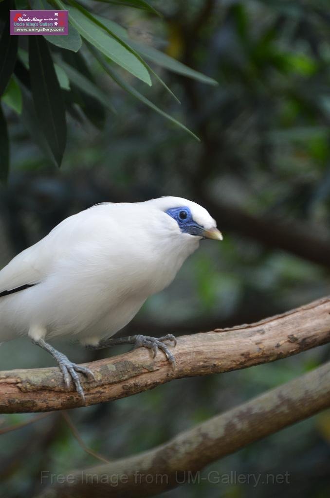 20150426jw-hk-park_DSC_0482.JPG
