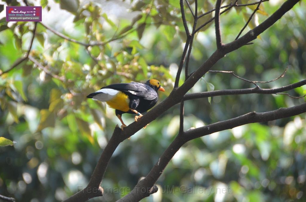 20150426jw-hk-park_DSC_0548.JPG