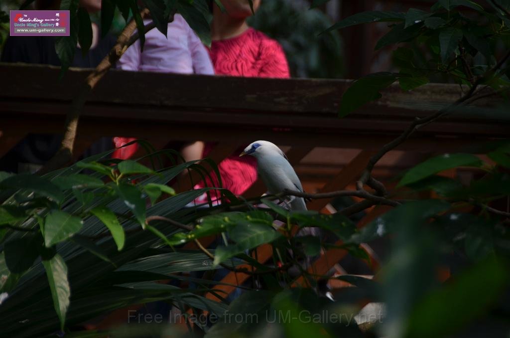 20150426jw-hk-park_DSC_0553.JPG