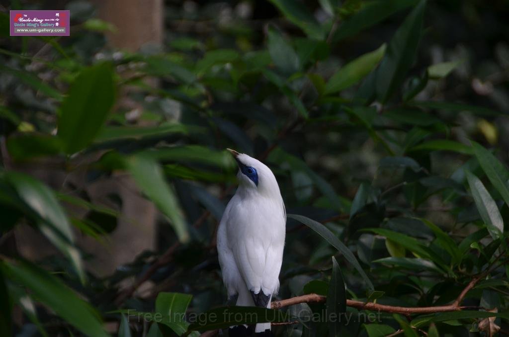 20150426jw-hk-park_DSC_0617.JPG
