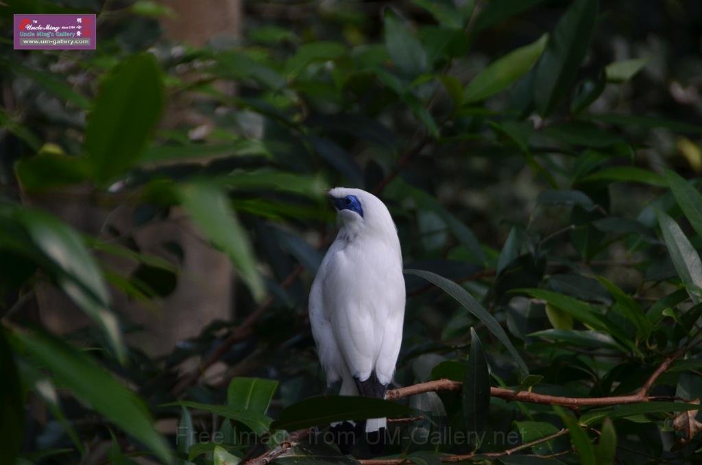20150426jw-hk-park_DSC_0623.JPG