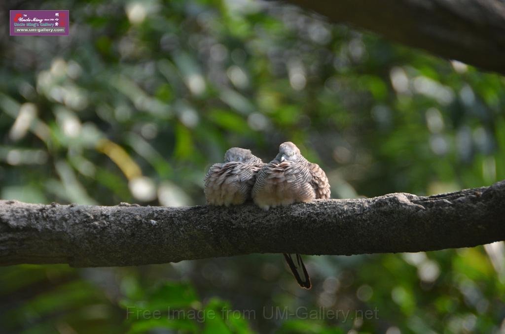 20150426jw-hk-park_DSC_0649.JPG