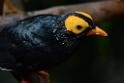 20160926birds-DSC_6815