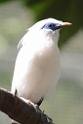 20160926birds-DSC_6862