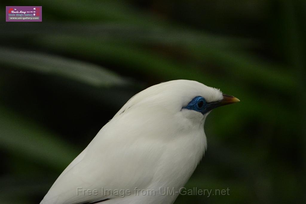 20180222hkpark_DSC_0894.JPG