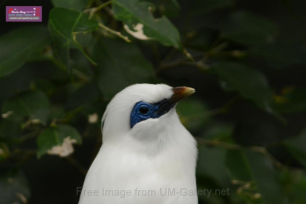 20180222hkpark_DSC_0940.JPG
