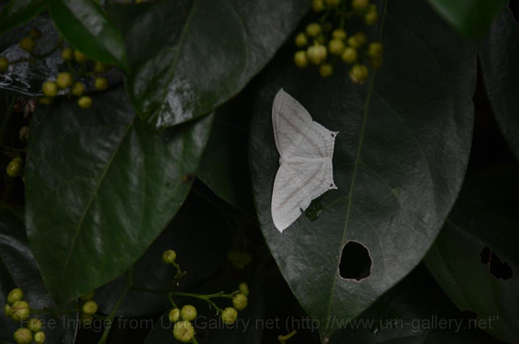 DSC_4281.JPG
