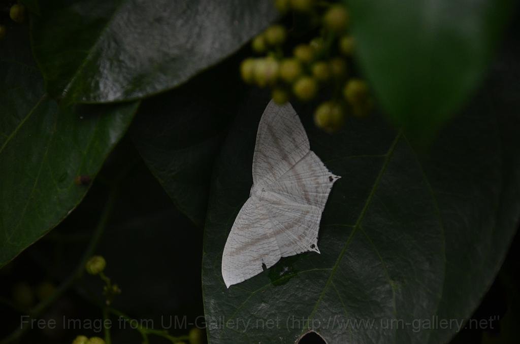DSC_4283.JPG