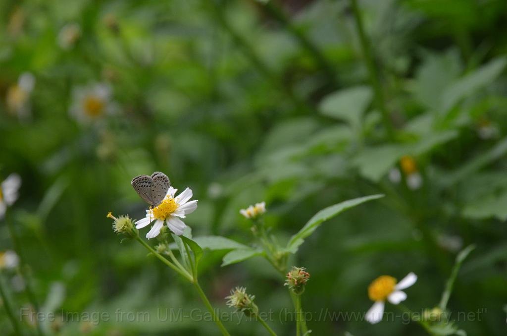 DSC_4292.JPG
