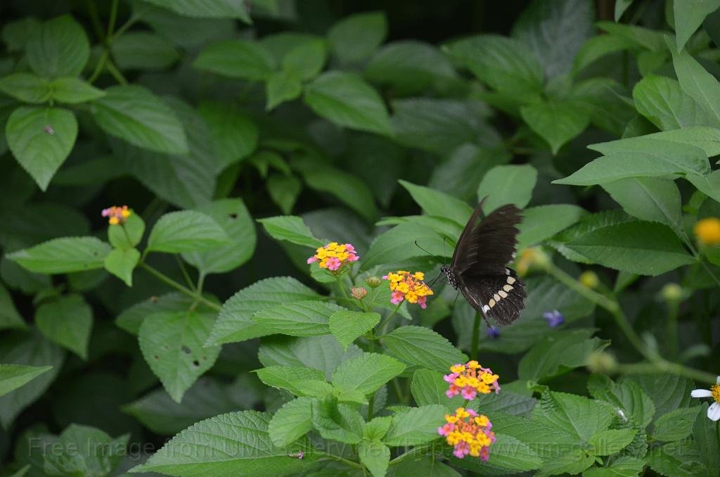 DSC_4338.JPG