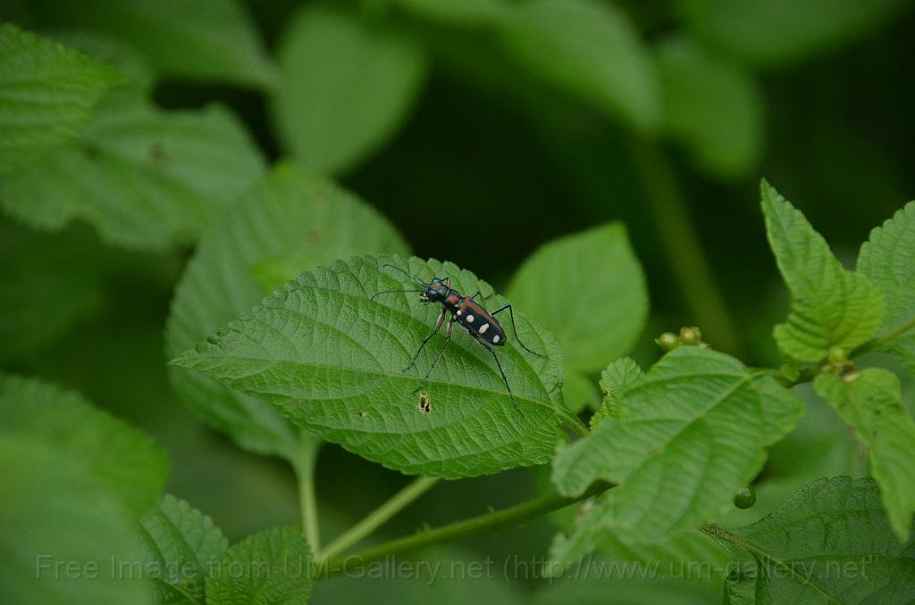 DSC_4363.JPG