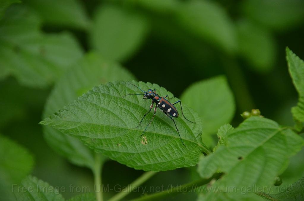 DSC_4364.JPG
