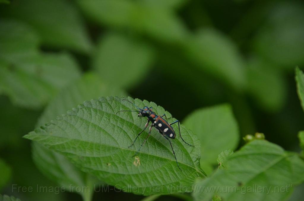 DSC_4366.JPG