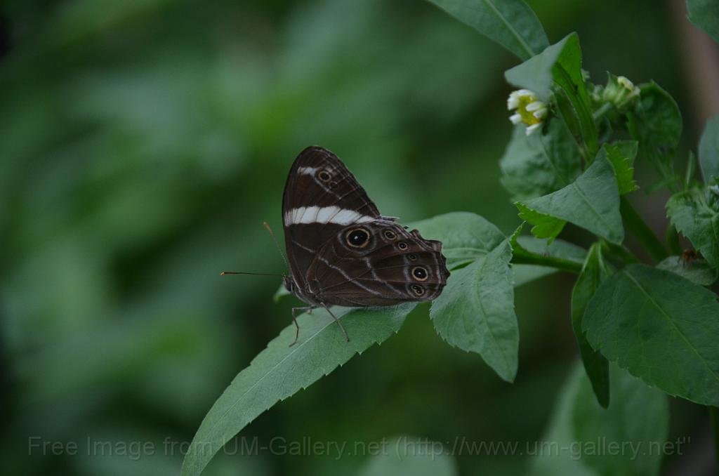 DSC_4377.JPG