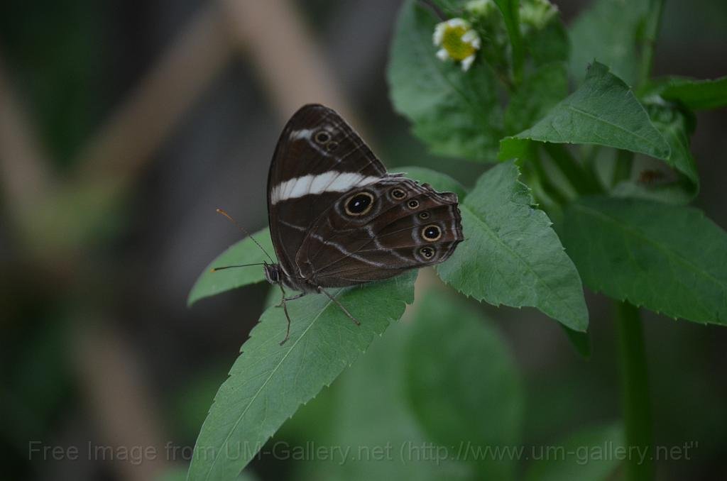 DSC_4380.JPG