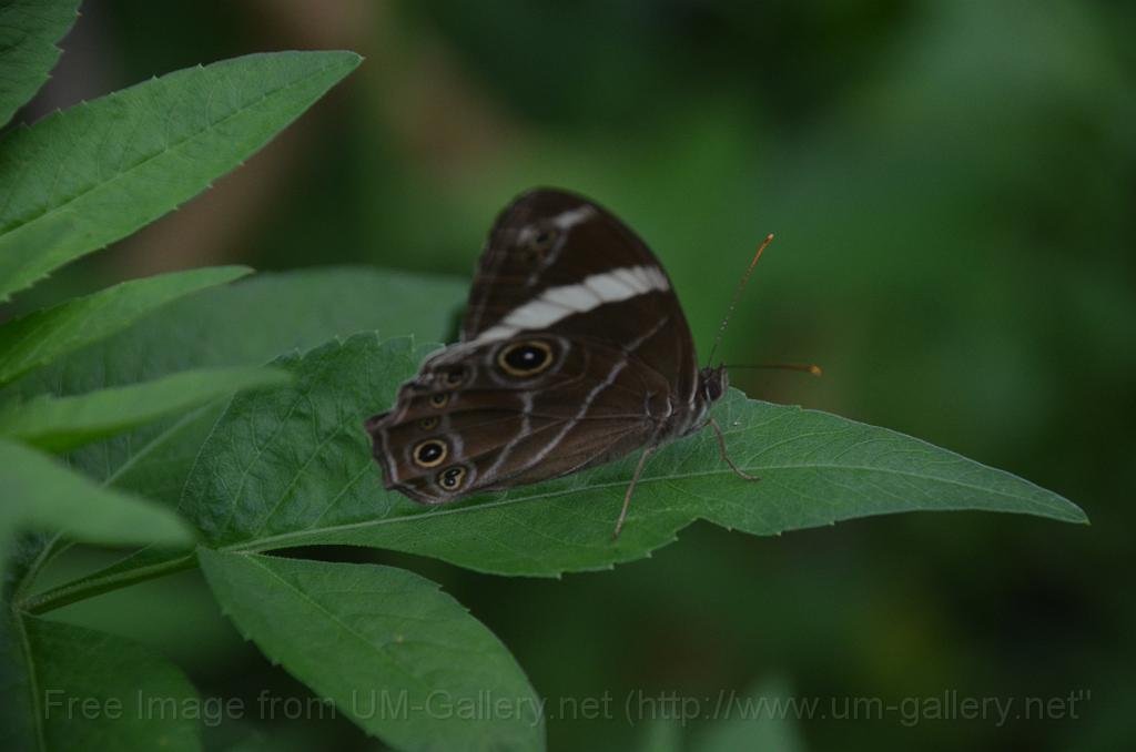 DSC_4399.JPG