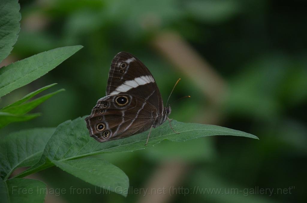 DSC_4401.JPG