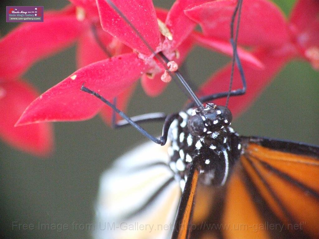 0611_DSCF0079.JPG