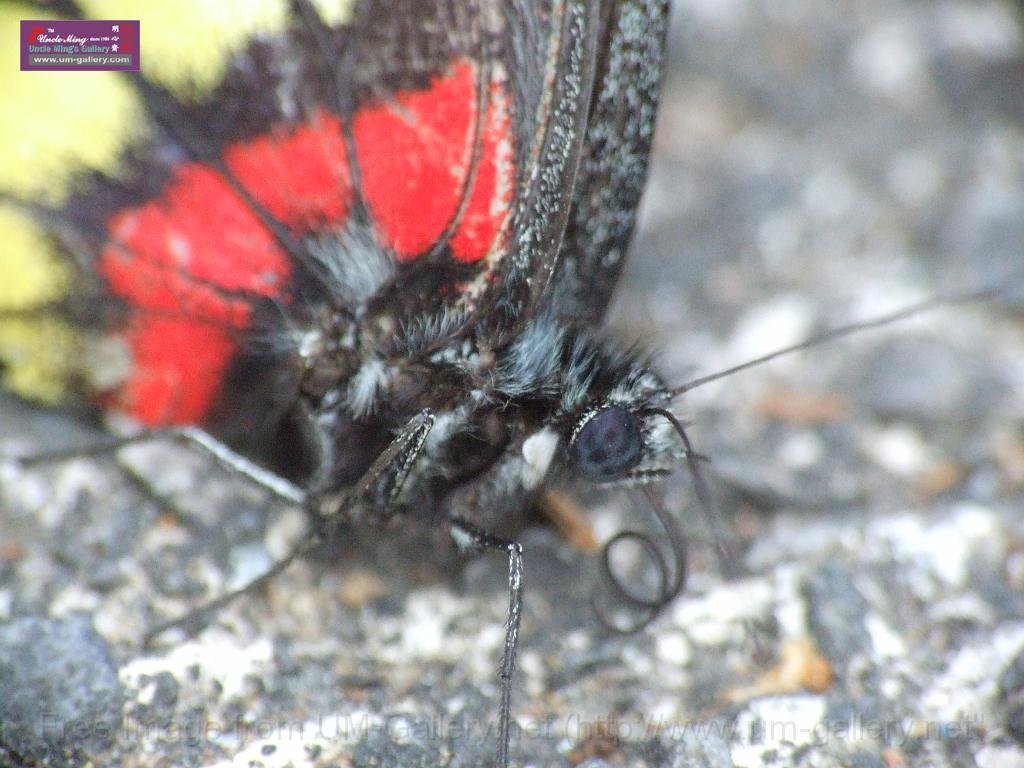 DSCF0070.JPG