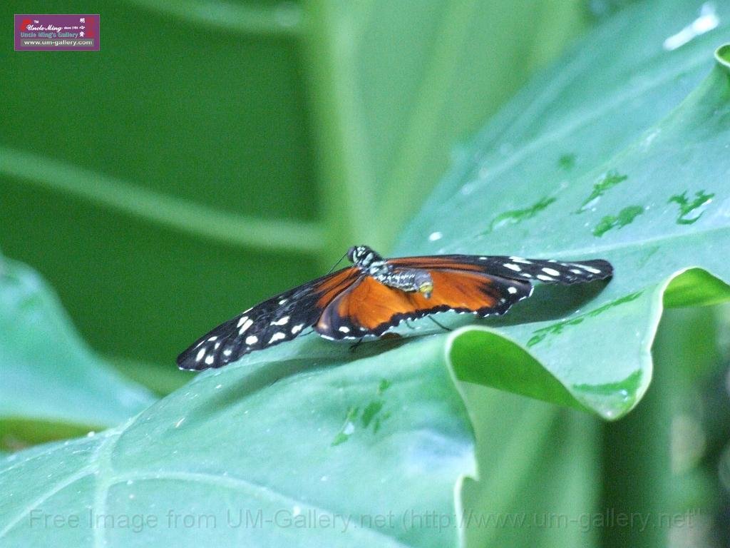 DSCF0781.JPG