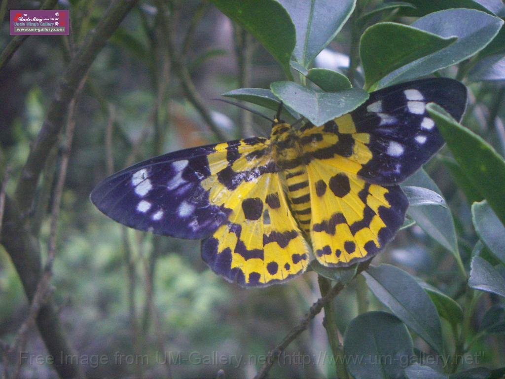 PICT2171.JPG