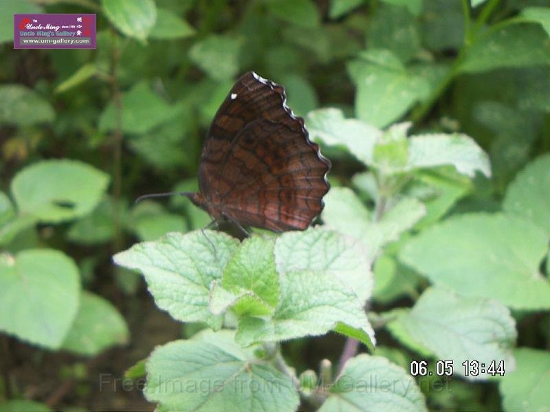 070506jw__PICT5197.JPG