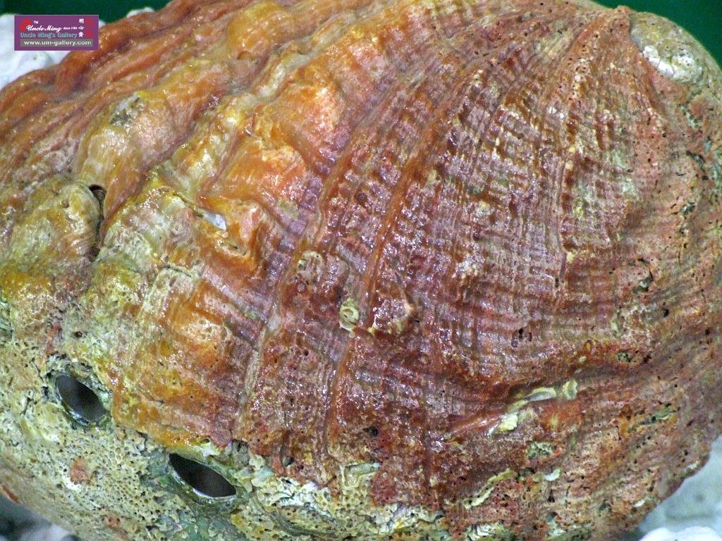 DSCF0369.JPG