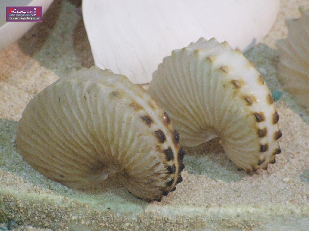 DSCF0388.JPG
