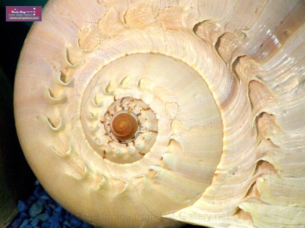 DSCF0394.JPG