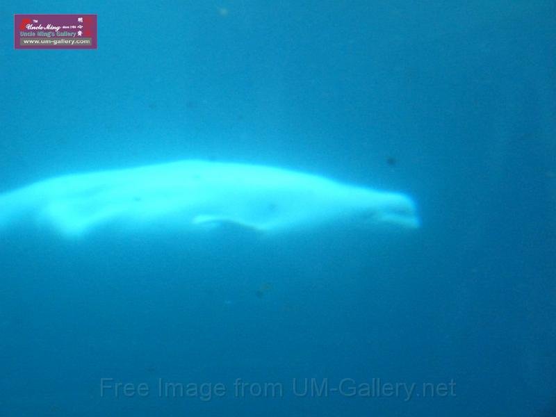 09jan_sm_vancouver_P1020794.JPG