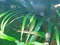 09jan_sm_vancouver_P1020689