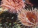 09jan_sm_vancouver_P1020723