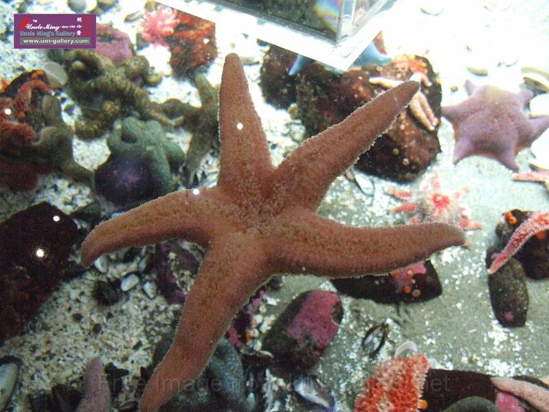 DSCF0930.JPG