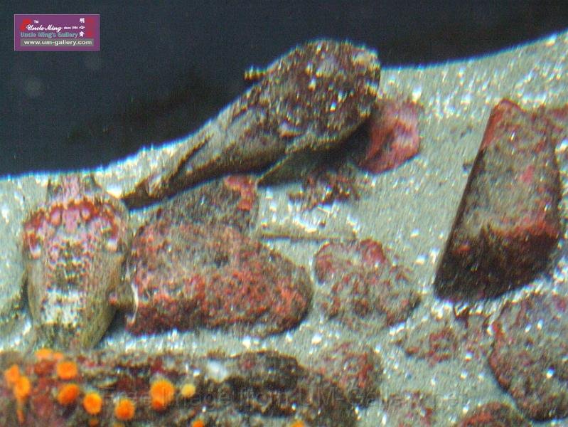 DSCF0993.JPG