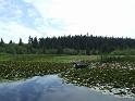 DSCF1135