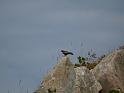 090208_sm_lamaisland_P1030027