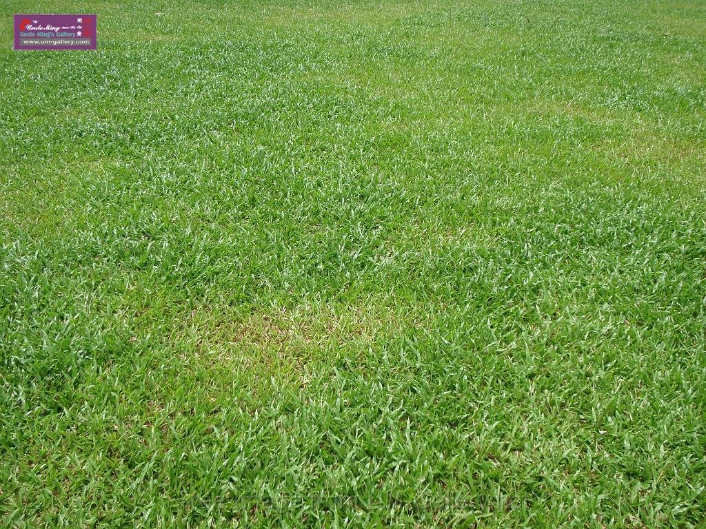 20120819my_central_P8190310.JPG