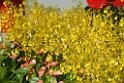 20150328sm-floral-exhibition_DSC_1819