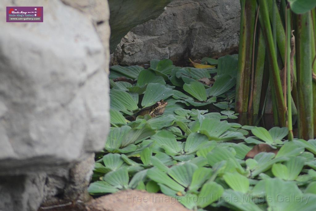 20150503sm_hk-park_DSC_2564.JPG
