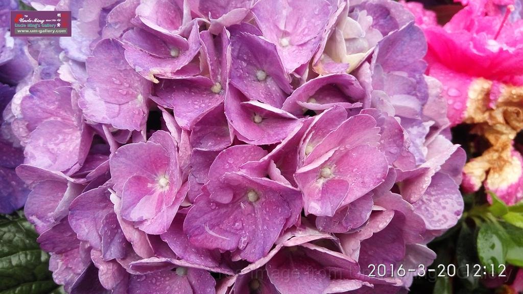 IMG_20160320_121255.jpg