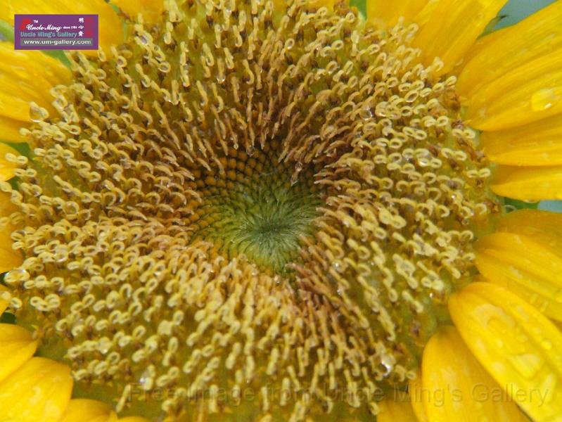 DSCF2218.JPG