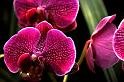 080309a_DSC_0942