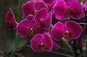 080309a_DSC_0949