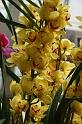 080309a_DSC_0963