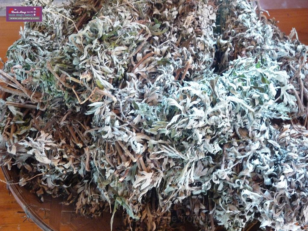 20121001sm_heyuan_P1100893.JPG